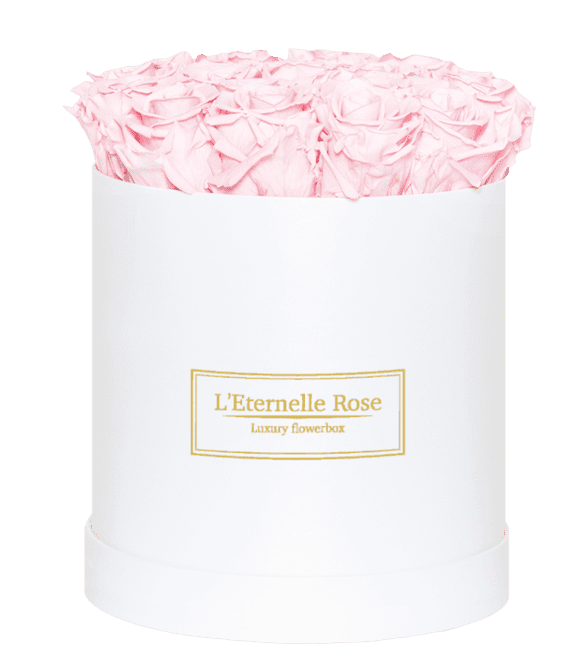 Ours et nounours en rose éternelle - L'Atelier Flower Box