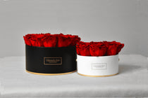 Splendid Table Collection