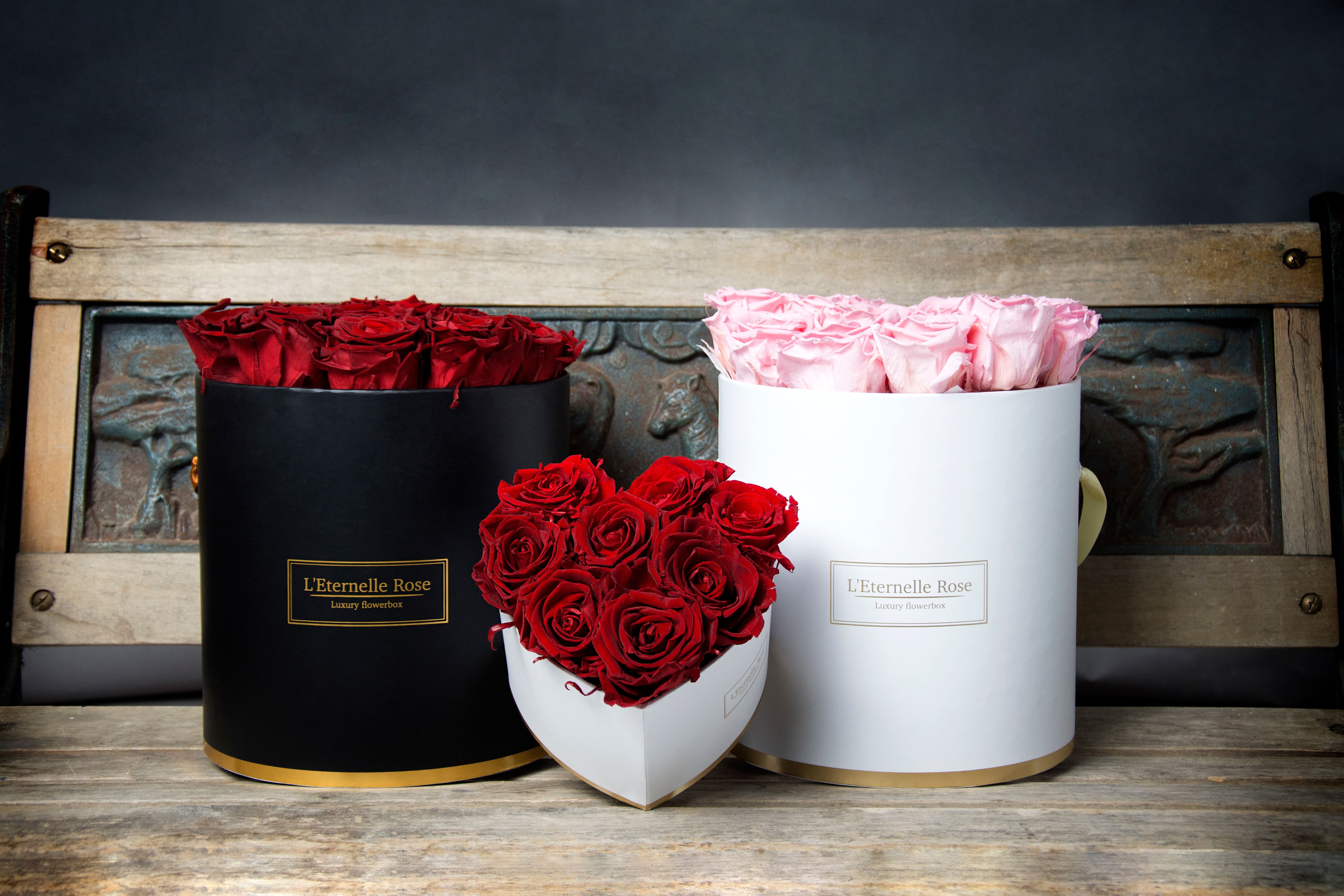 L'Eternelle Rose - Rose éternelle et flowerbox