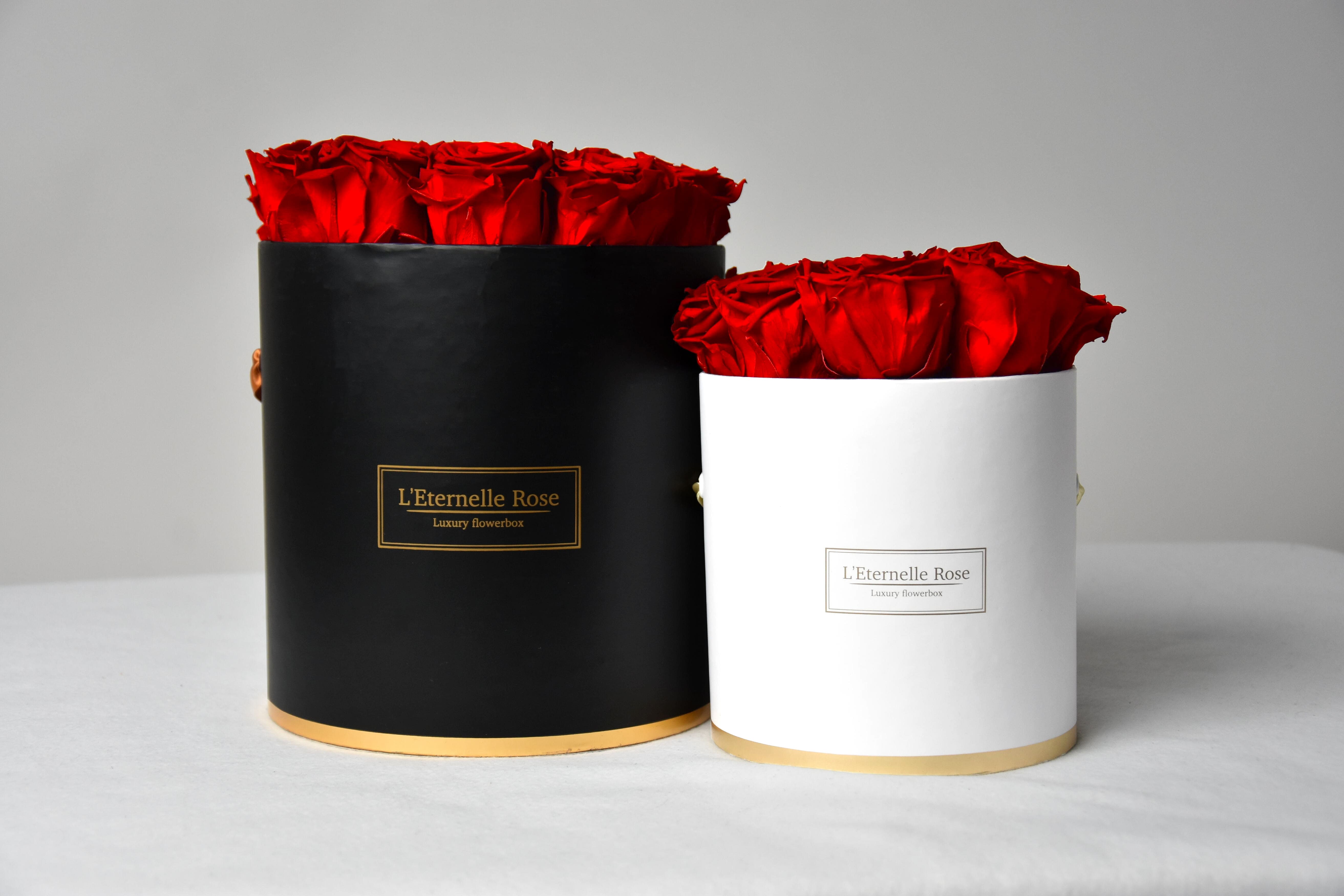 L'Eternelle Rose - Rose éternelle et flowerbox
