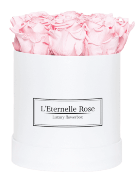 flowerbox rose éternelle | L'Eternelle Rose