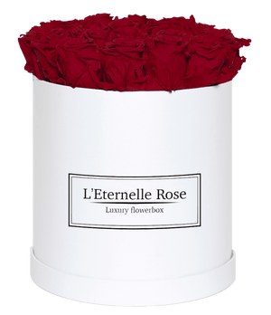 flowerbox rose éternelle | L'Eternelle Rose