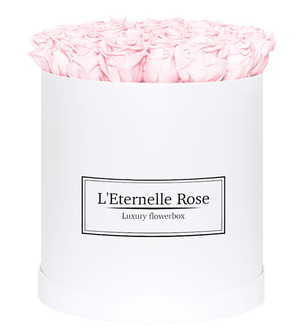 flowerbox rose éternelle | L'Eternelle Rose