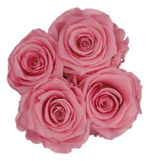 flowerbox rose éternelle | L'Eternelle Rose