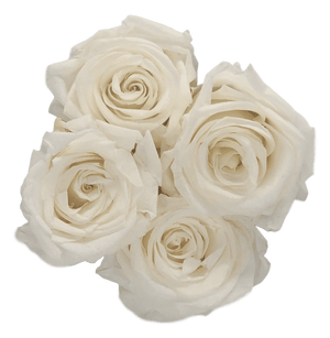 flowerbox rose éternelle | L'Eternelle Rose