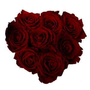 flowerbox rose éternelle | L'Eternelle Rose