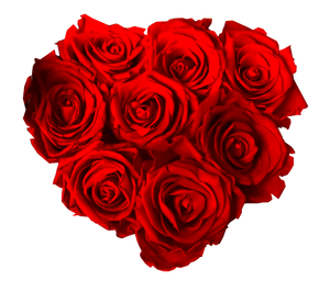 flowerbox rose éternelle | L'Eternelle Rose