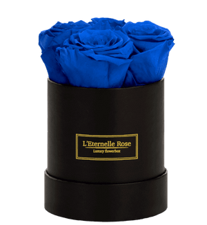 flowerbox rose éternelle | L'Eternelle Rose