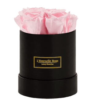 flowerbox rose éternelle | L'Eternelle Rose