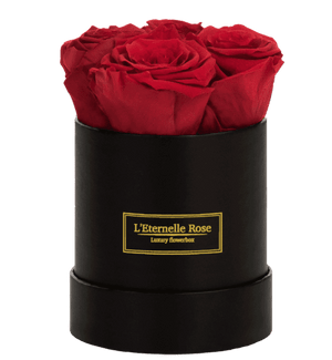 flowerbox rose éternelle | L'Eternelle Rose