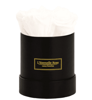 flowerbox rose éternelle | L'Eternelle Rose