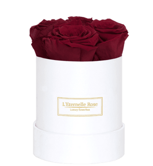 flowerbox rose éternelle | L'Eternelle Rose