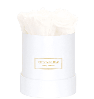 flowerbox rose éternelle | L'Eternelle Rose