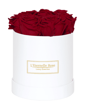 flowerbox rose éternelle | L'Eternelle Rose