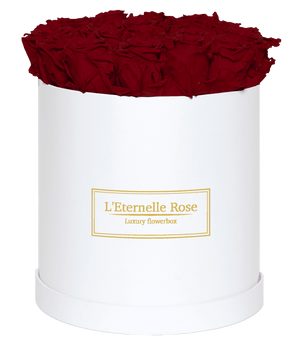 flowerbox rose éternelle | L'Eternelle Rose
