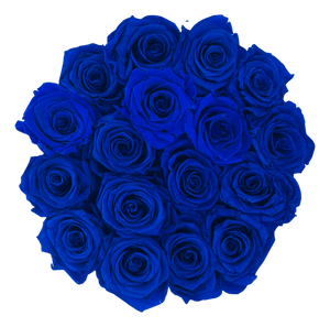 flowerbox rose éternelle | L'Eternelle Rose