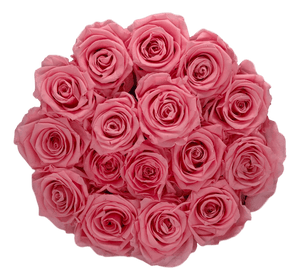 flowerbox rose éternelle | L'Eternelle Rose