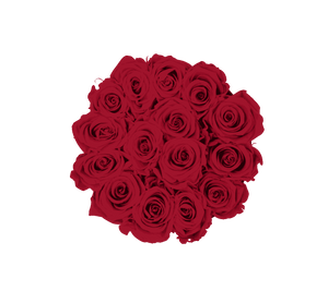 flowerbox rose éternelle | L'Eternelle Rose