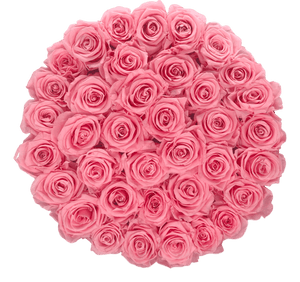 flowerbox rose éternelle | L'Eternelle Rose