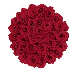 flowerbox rose éternelle | L'Eternelle Rose