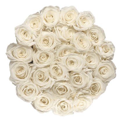 flowerbox rose éternelle | L'Eternelle Rose