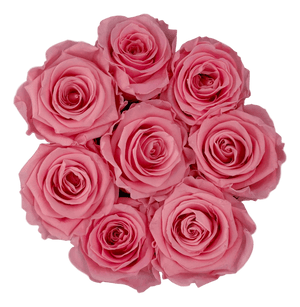 flowerbox rose éternelle | L'Eternelle Rose