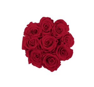 flowerbox rose éternelle | L'Eternelle Rose