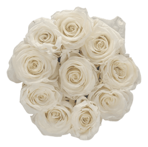 flowerbox rose éternelle | L'Eternelle Rose