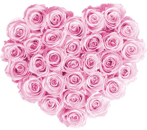 flowerbox rose éternelle | L'Eternelle Rose