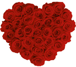 flowerbox rose éternelle | L'Eternelle Rose