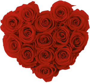 flowerbox rose éternelle | L'Eternelle Rose