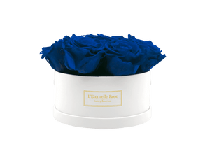 flowerbox rose éternelle | L'Eternelle Rose